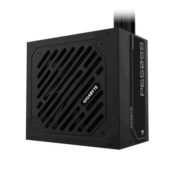 GIGABYTE P650SS unidad de fuente de alimentación 650 W 20+4 pin ATX ATX Negro