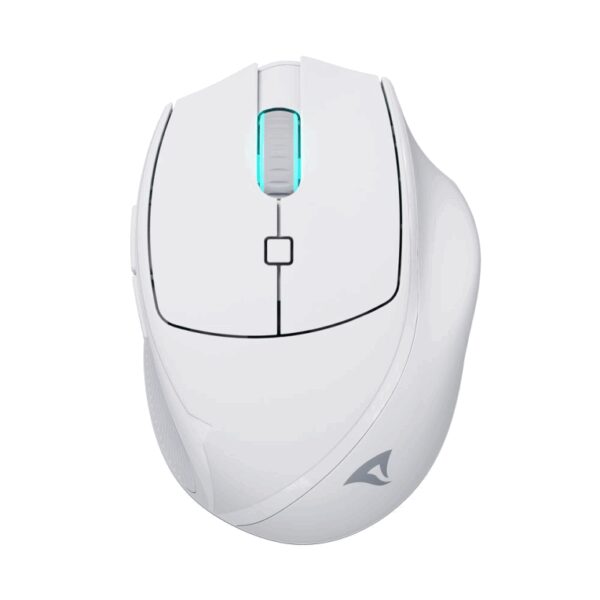 Sharkoon OfficePal M25W ratón Juego mano derecha RF Wireless + USB Type-C Óptico 4000 DPI