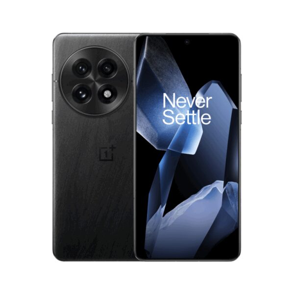 OnePlus 13 5G 12GB/256GB, black (EU) 17,3 cm (6.82") SIM doble Android 15 USB Tipo C 6000 mAh Negro