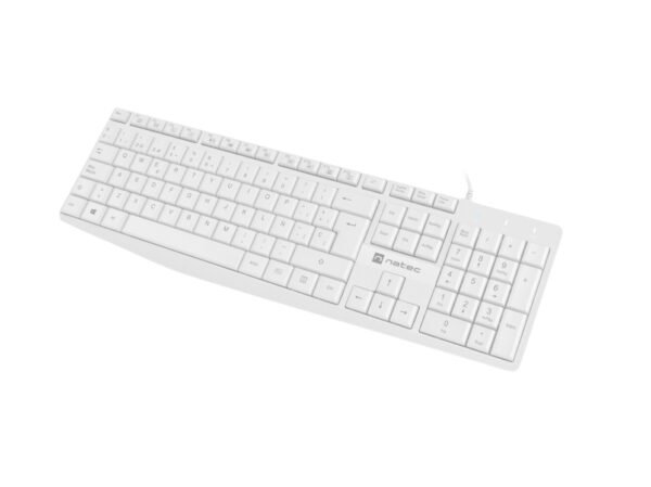 NATEC NKL-1949 teclado Universal USB QWERTY Español Blanco